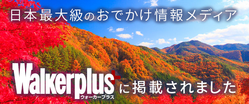 walkerplusに掲載されました